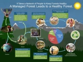 Forest Friendly Supply Chains