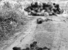 Dead Bodies