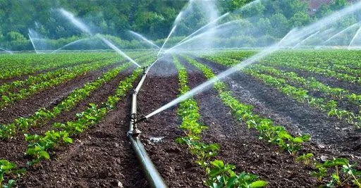 Irrigation Farming Irrigation Farming