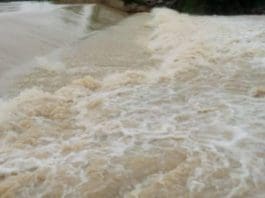 Vea Dam Rehabilitation
