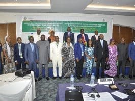 Ecowas Ministers Of Infrastructure Public Works And Equipment