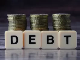Domestic Debt