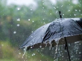Rain