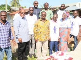 Politics Npp Akoto