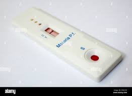 Rdt Malaria Testing