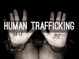 Social Trafficking Mode
