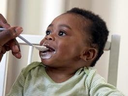 Introduce Solid Foods