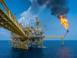 Oil