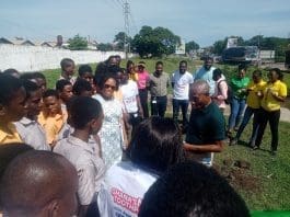 Social Tema Planting