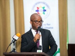 The Deputy Minister of Trade and Industry, Stephen Amoah