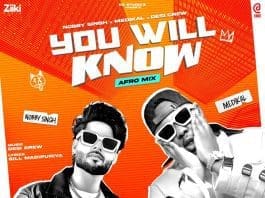 You will know Afromix