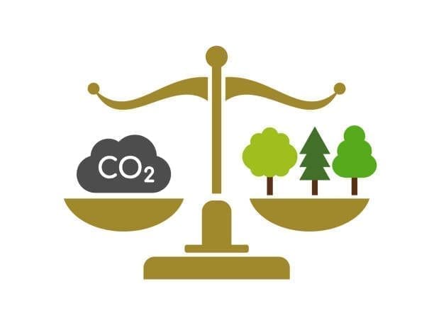 Ghana Eyes Carbon Markets But Faces Critical Capacity Gaps