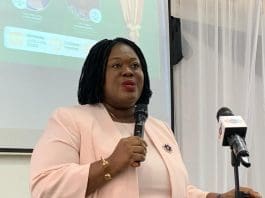 Ms Diana Asonaba Dapaah,