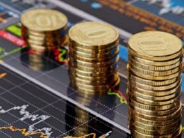 Domestic Debt Exchange Programme