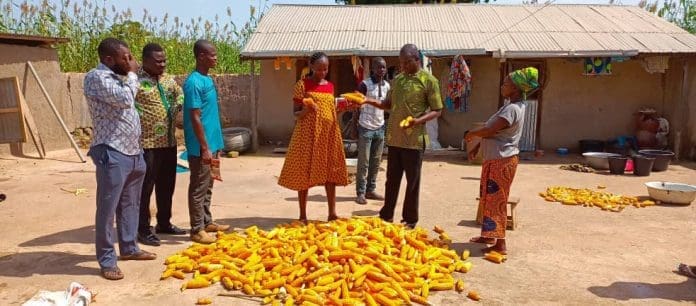 CSIR-SARI, MOFA expose farmers to maize, soya beans technologies