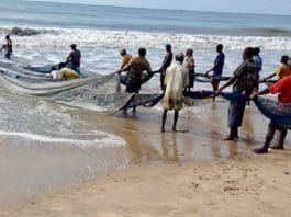 Sustainable Fishing