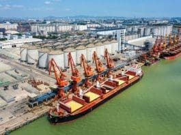 This aerial photo taken on May 4, 2023 shows a cargo ship carrying corn imported from South Africa at a port in south China's Guangdong Province. (Xinhua/Liu Dawei)