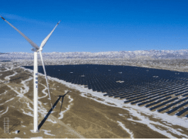 Photo shows a wind-solar farm in northwest China's Xinjiang Uygur autonomous region. (Photo by Li Huabei/People's Daily Online)