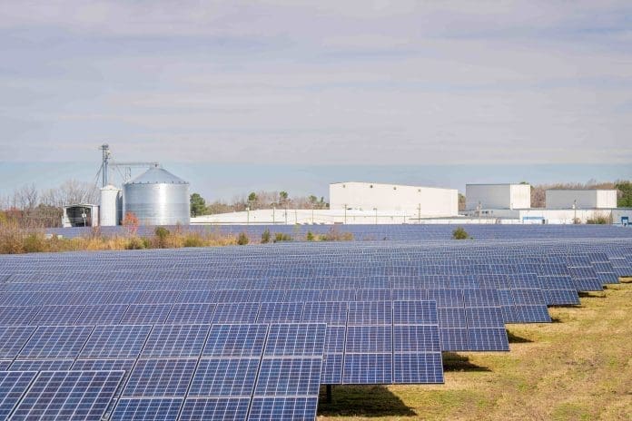 Renewable Energy Renewable Energy