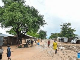 This photo shows tree-lined streets with children playing at the refugee camp in Minawao, Far North region, Cameroon, Aug. 6, 2023. (Xinhua/Kepseu)