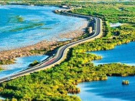 Photo shows a riverbank road near the Bosten Lake in Bayingolin Mongolian autonomous prefecture, northwest China's Xinjiang Uygur autonomous region. (Photo by Nian Lei/People's Daily Online)