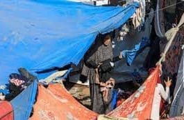 A displaced woman in a makeshift shelter at al-Shifa hospital in Gaza City. Photograph: Reuters