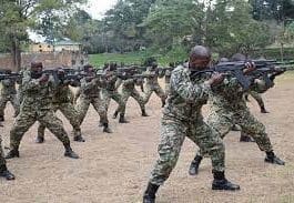 Uganda's military