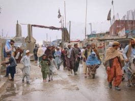 Nearly 1.5 million Afghans live in the five countries targeted by this project. Photo: IOM/Léo Torréton.