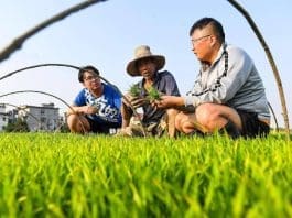 Postgraduate Students Of Jiangxi Agricultural University