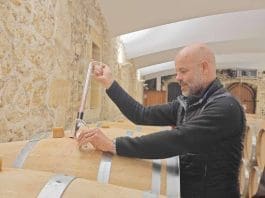 Chief winemaker of the Bordeaux branch of Les Grands Chais de France tastes wine in a winery. (Photo by Xing Xue/People's Daily)