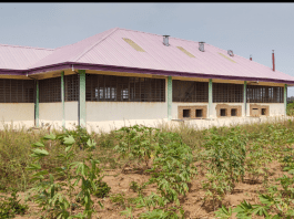 1D1F Cassava Processing Factory Left to Rot