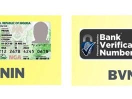 Bvn And Nin