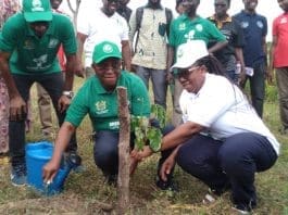 Environment Choices Conservation