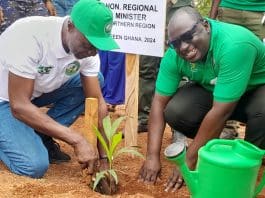 The officials planting the trees