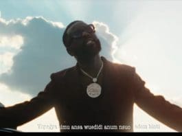Bisa Kdei