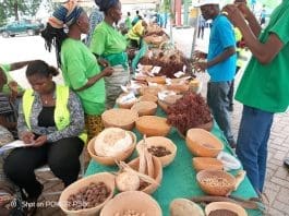 Exhibition of indigenous seeds during indigenous Seed Fair held in Bolgatanga, UER