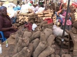 Yam
