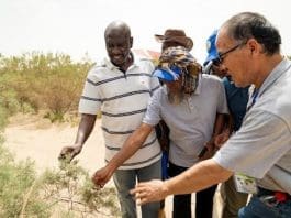 African tech experts join a field trip to shelter forest along Tarim Desert Highway in northwest China's Xinjiang Uygur autonomous region. (Photo provided by the Xinjiang Institute of Ecology and Geography (XIEG) with the Chinese Academy of Sciences)