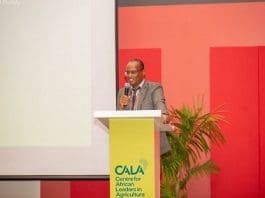 Cala