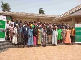 Social Ecowas Gender