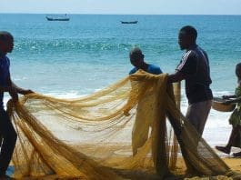 Strengthening Ghana’s Fisheries The Need For Improved Management Approaches