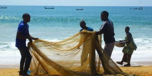 Citizen Science Drives Fisher Support for Closed Season