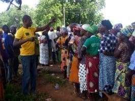 Blg Social Peaceful Elections