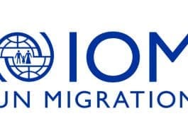 Iom Blue Visibility Logo X