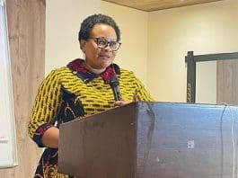 Mrs Mary Addah Ghana Integrity Initiative Gii