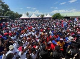 Politics Npp Support