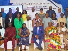 A section of the 2024 PEM ADR cohort participants