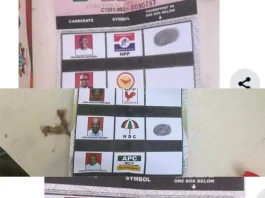 Electorates Violate Ballot Secrecy Laws