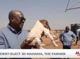 John Mahama