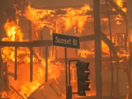 Hollywood Fires